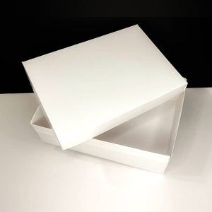 Caja de 25x25x15cm