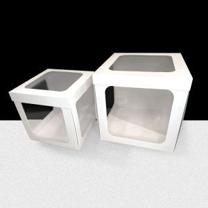 Caja SUPER BOX - 4 visores