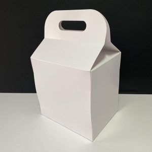 Caja con asa 20 x 15 x 20 cm